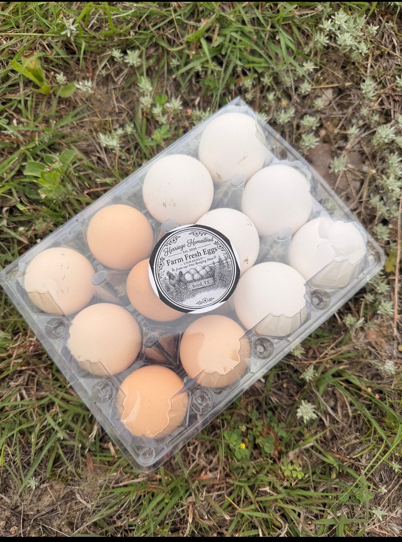 Farm Fresh Eggs (per Dozen)